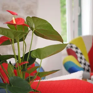 Kogo Apartment Split